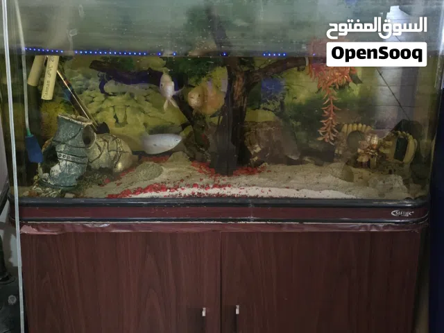 Aquarium for Sale