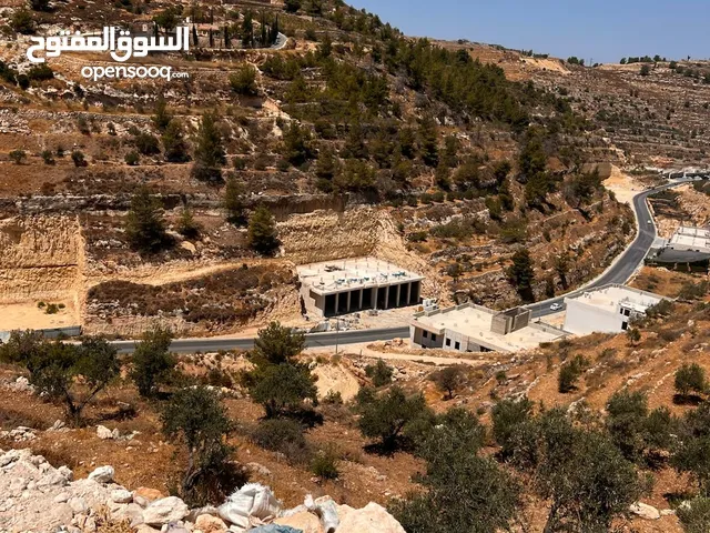 محلات تجارية على الشارع الرئيسي واد القف