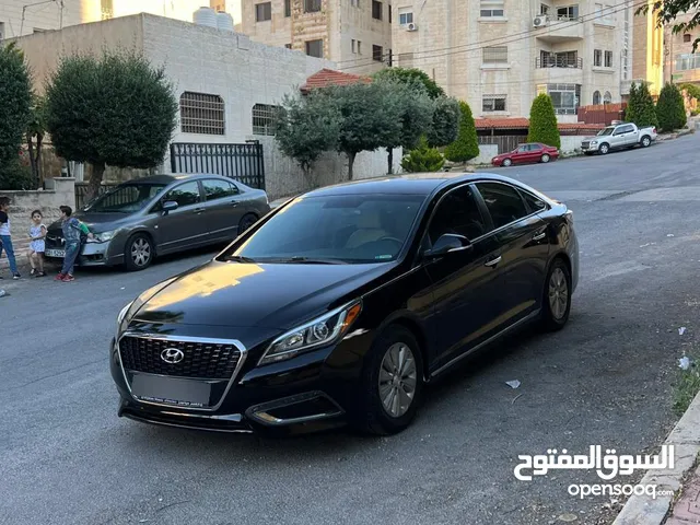 Used Kia Optima in Irbid