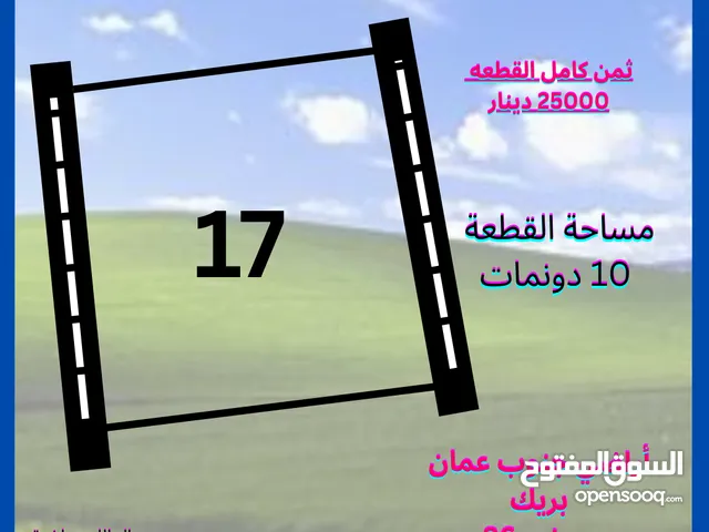 10 دونم قطعة ارض مميزة وجميله للاستثمار في منطقة ضبعة جنوب المطار