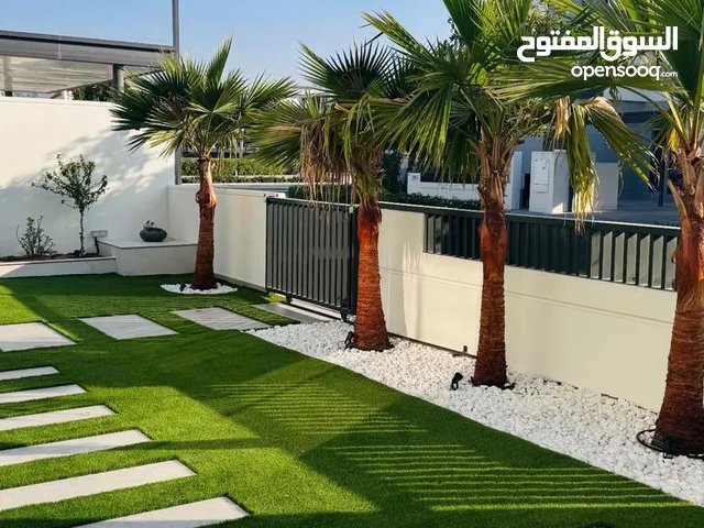 Garden plants  Landscaping