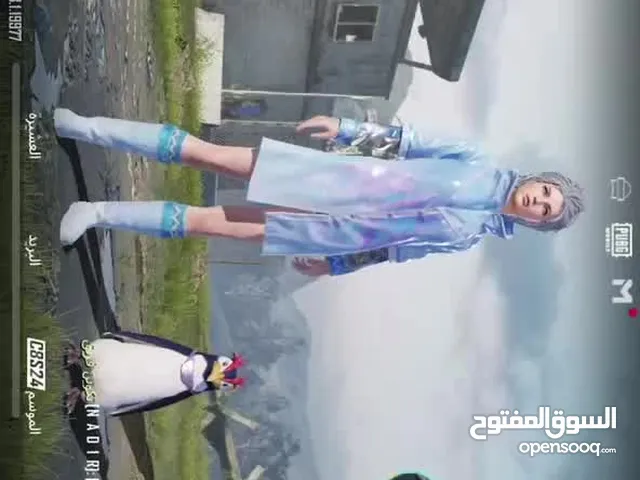 Pubg Accounts and Characters for Sale in Dubai