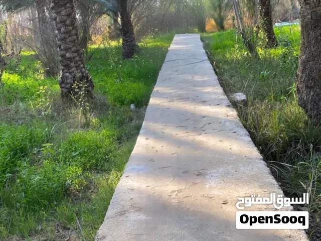 بستان للبيع مزرعة