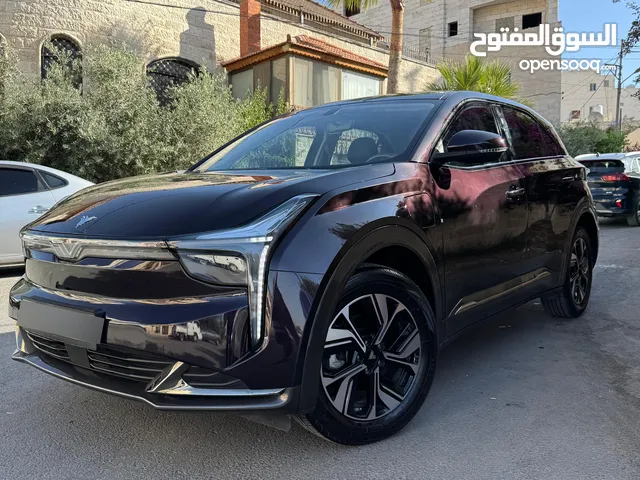 NETA U 2023 نيتا يو لون باذنجاني مميز موديل 2023 بحالة الوكالة فحص كامل جمرك جديد للبيع