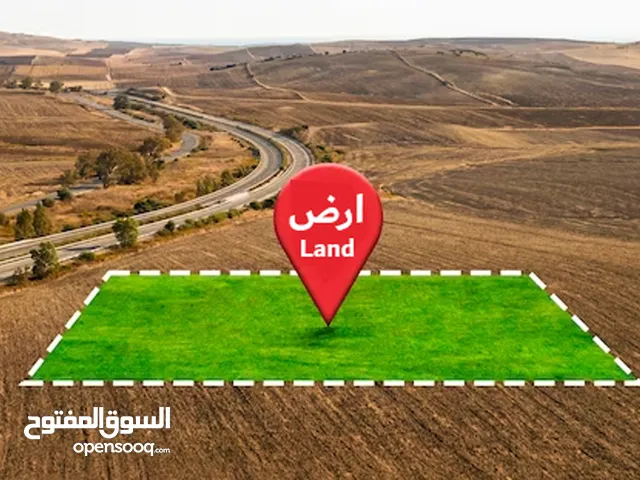 فرصة العمر للاستثمار – الموقع ما بتكرر ارض كوشان مستقل حوض خلة لحام جاهزه للبناء فيها رخصة وسعر مغري