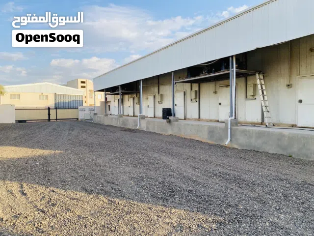 تلاجات تجميد وتبريد طرابلس السبعة