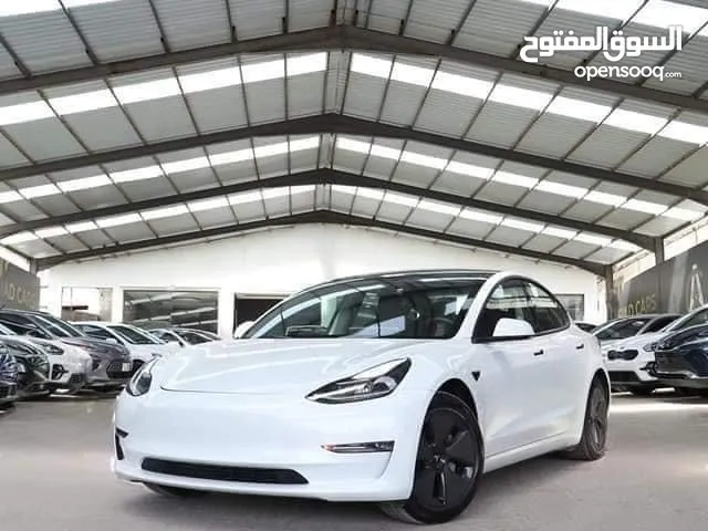 Tesla model 3 standard plus 2021