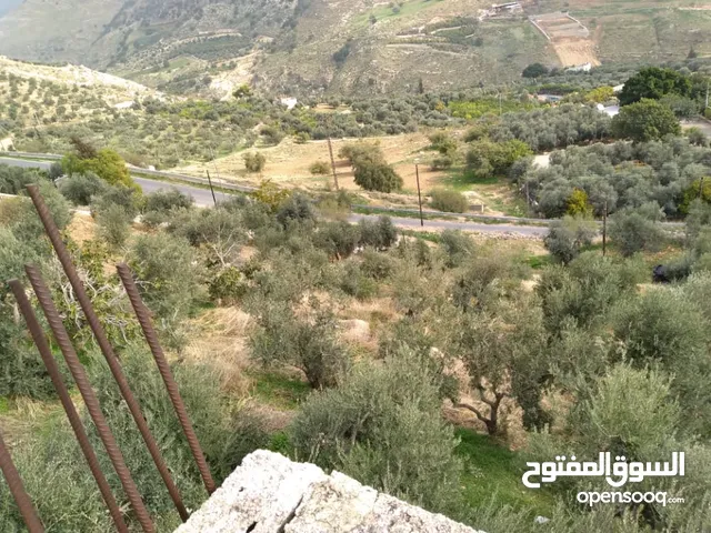 Mixed Use Land for Sale in Salt Wadi Shua'ib