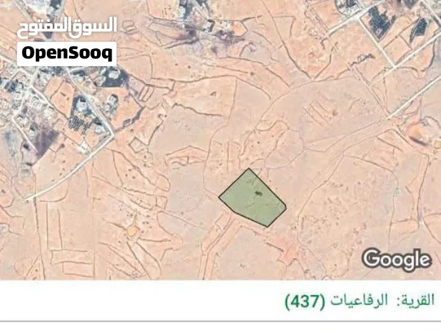 ارض بسعر مغري 15 دلم قريه الرفاعيات مخدومه وقريبه علي الشارع والمزارع