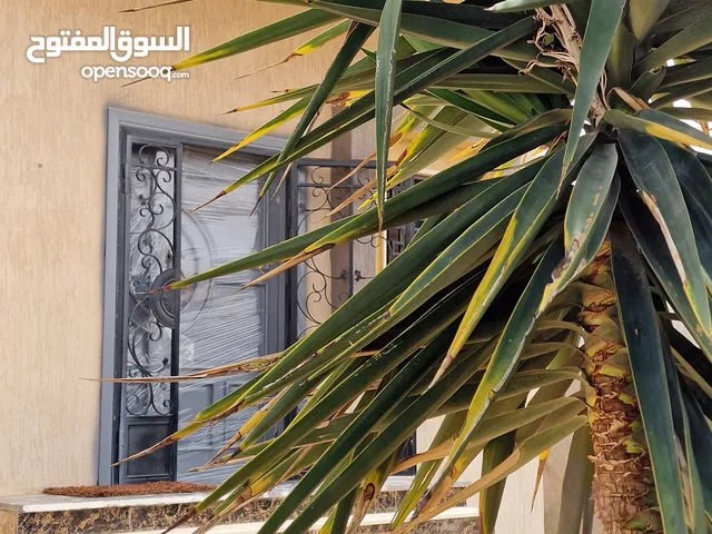 220 m2 3 Bedrooms Townhouse for Sale in Tripoli Airport Road