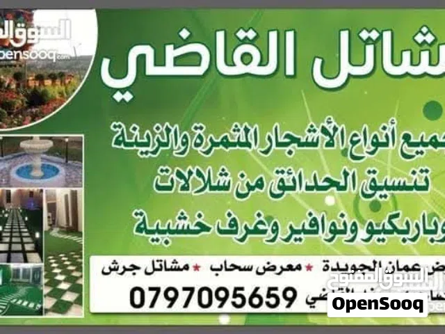 #_مجانا_توصيل_توصيل_مجانا   لكافة محافظات المملكة مشاتل القاضي الزراعيه توفر لكم جميع انواع الأشجار