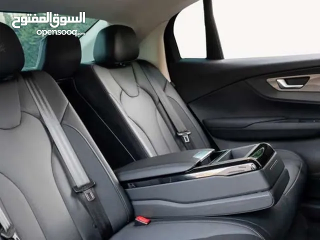 Used Hongqi E-QM5 in Amman