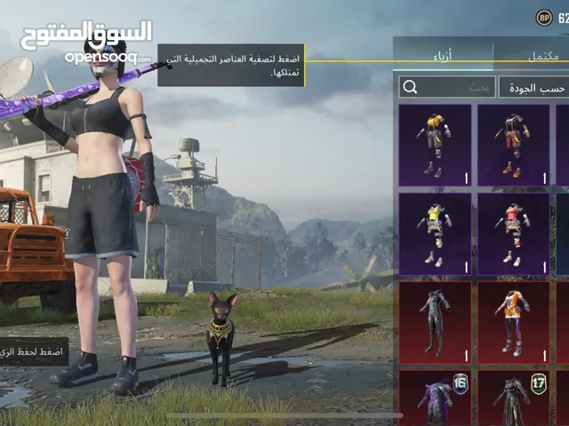 Pubg Accounts and Characters for Sale in Aqaba