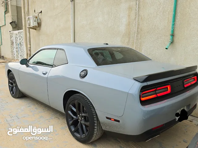 جالنجر وارد امريكي تقرير .. كفالة عامة من كل شي موديل 2022