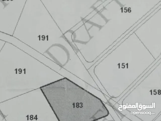 ارض للبيع حوض ام حبه