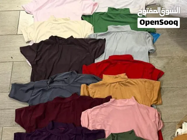 الهاينك الصيفي