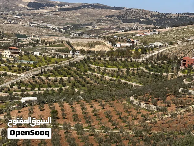 ارض للبيع جرش اعلى قمه النبي هود  الرشايده  خلف جامعة جرش 1800متر مفروزه بسعر مغري جدا