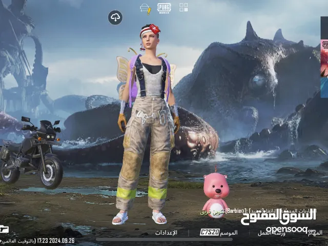 Pubg Accounts and Characters for Sale in Sana'a