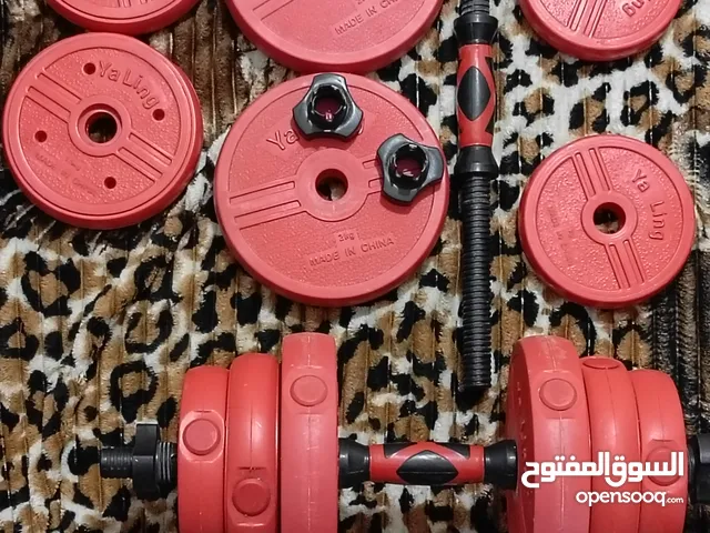 دمبلصات تمرين العدد2