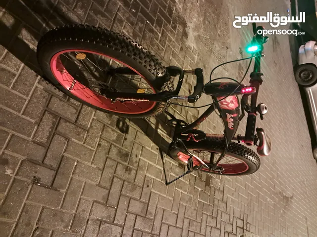 Fat tyre cycle
