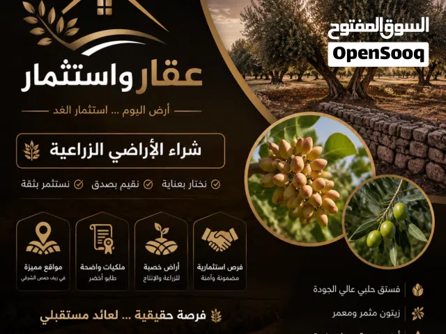 أرض زراعية للبيع ريف حمص الشرقي
