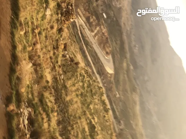 عقار مميز في صنين للايجار او للاستثمار او للبيع