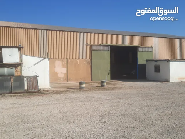 هنجر للأجار 2000م