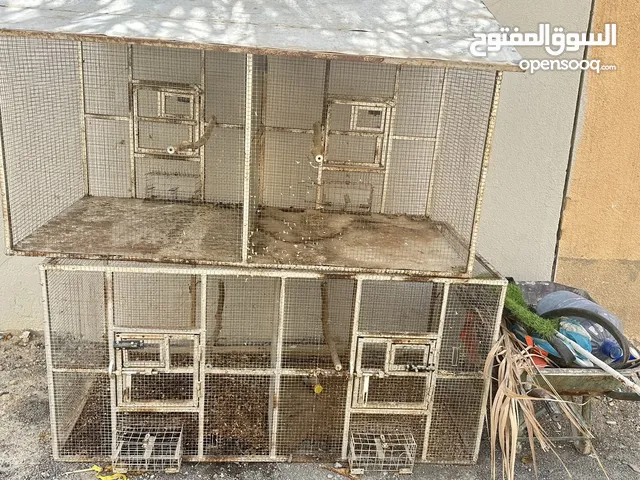 اقفاص على شكل محاجر