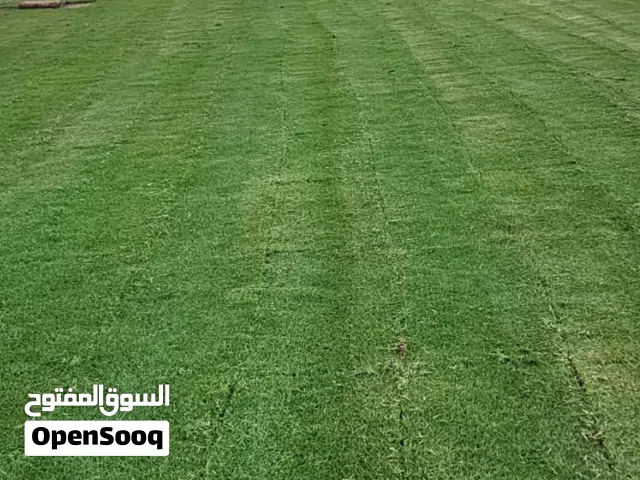 انحيله ثيل طبيعي