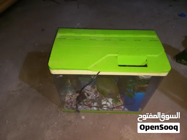 حوض سمك للبيع