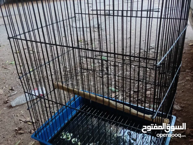سلام عليكم قفس.بي كل ملحقاته سعره 70