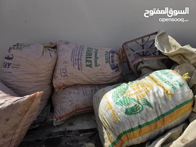 تتوفر نفيعه (تمور مخلوطه)