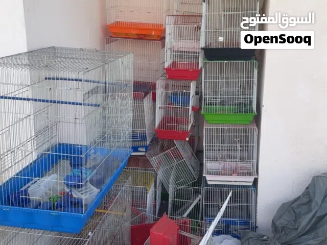 مجموعة اقفاص سورية للبيع