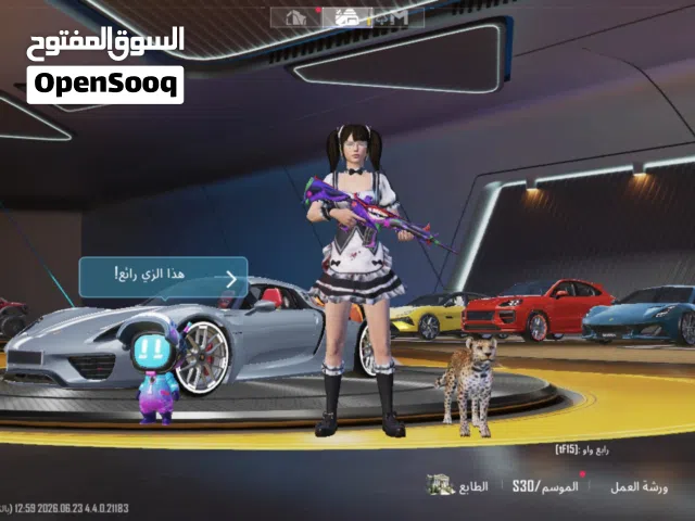 Pubg Accounts and Characters for Sale in Jenin