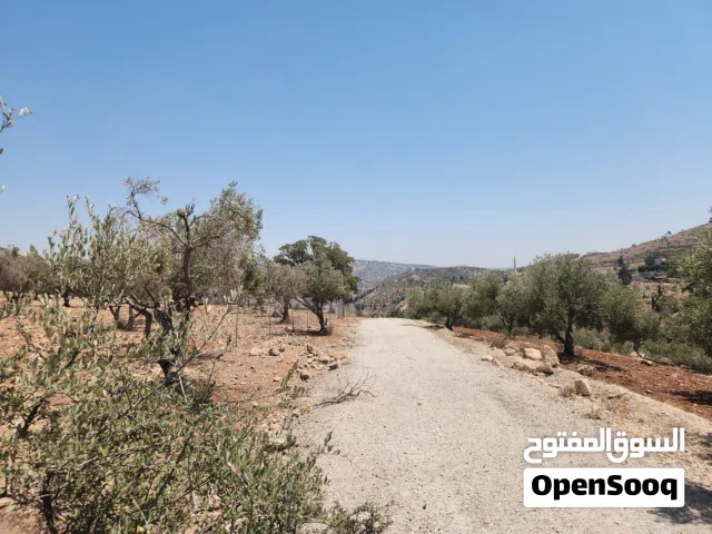 Residential Land for Sale in Amman Bilal