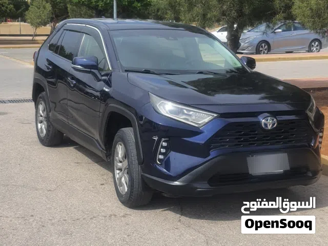 2019 Toyota RAV 4 LE