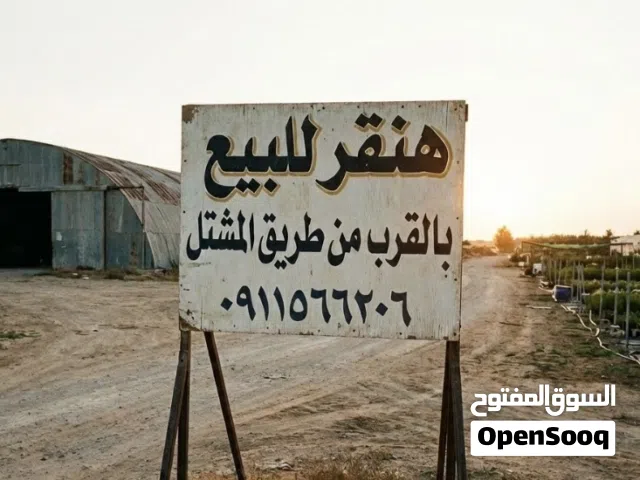هنقر للبيع في نهاية مشروع الموز بالقرب من طريق المشتل بالتحديد في متلت القومات