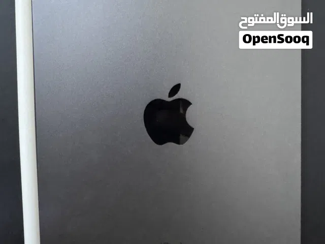 GB 256 سعة iPad Mini 6 (Space Gray) للبيع