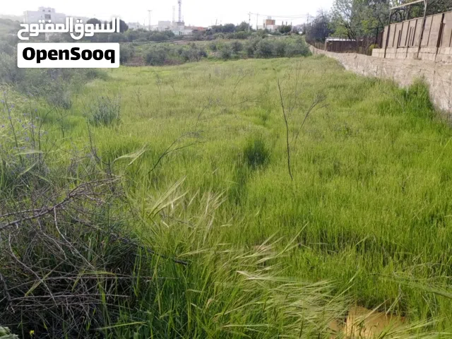 قطعه ارض مساحة دونم وربع قوشان مستقل في السلط الزعتري قريب من جسر دبابنه