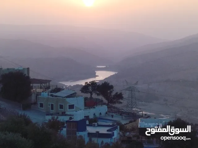 10 دنمات بأجمل اطلالة خلابة على سد الملك طلال