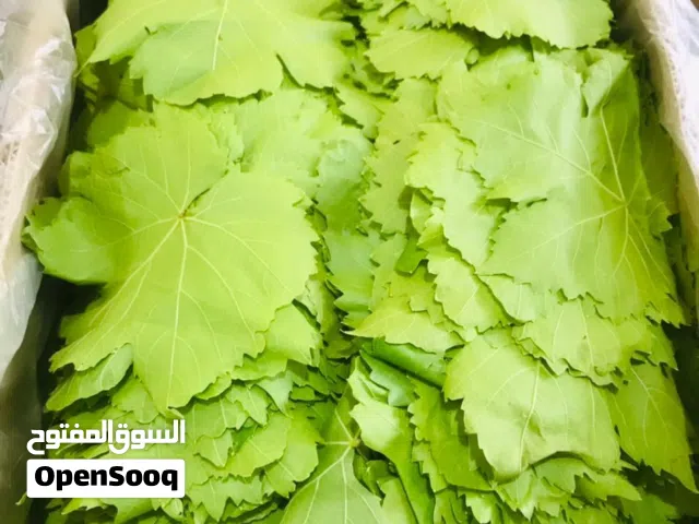 الطلب ورق   عنب