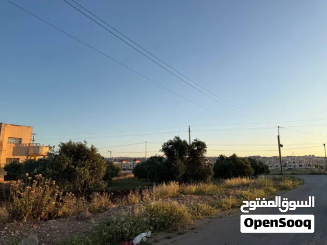 أرض سكنيه مميزة للبيع جنوب دوار السفير شرق اكاديمية القمه دوليه موقع استثماري قريب من شارع وصفي التل