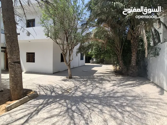 فرصة ذهبية - مبني خدمي للإيجار الشهري - السبعة قرب سيمافرو - متوفر جميع الخدمات المطلوبة- موقع ممتاز