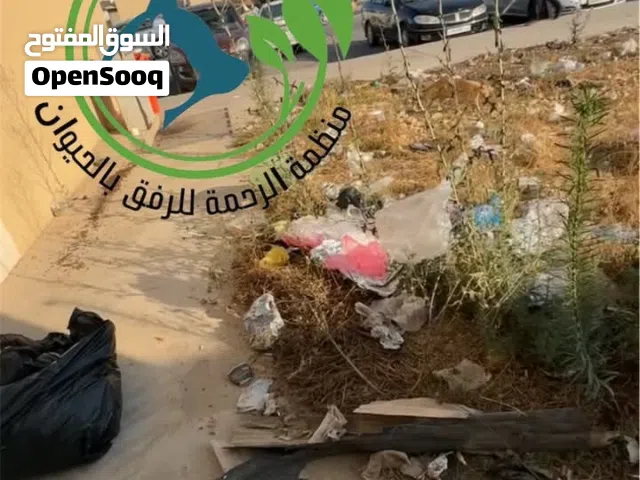 نبحث عن متطوّع لنقل عجلات سيارات إلى النادي البحري .