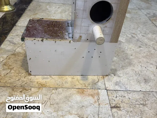 بيت تكاثر لطيور وببغاوات النيبالي والدره