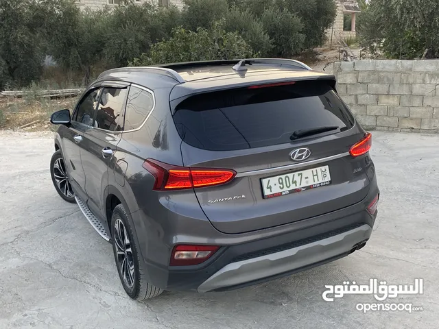 سنتافي 2019 فل الفل