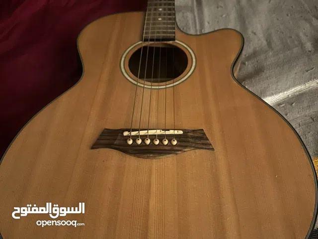 Hasessa Electro-Acoustic Guitar – Mint Condition