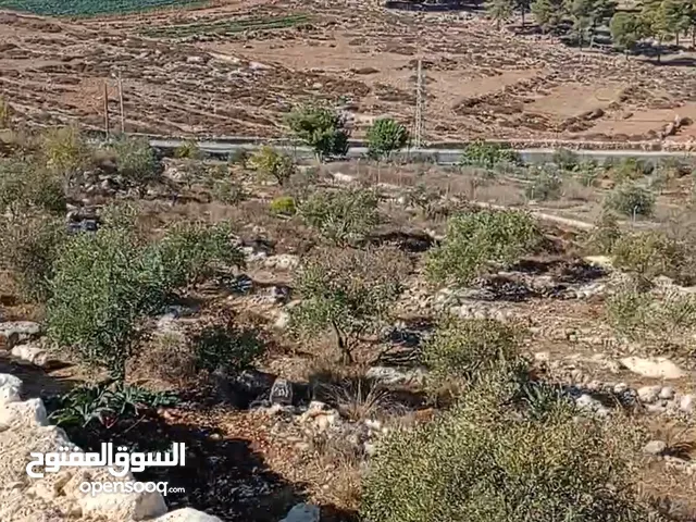 Mixed Use Land for Sale in Hebron Beit Ula