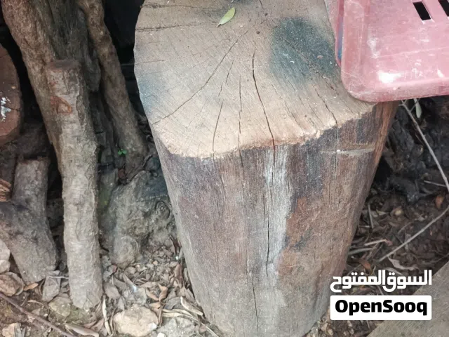 حطب ناشف للبيع