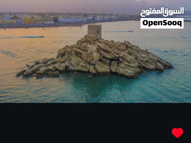 لوحة حائط كبيرة فخمة